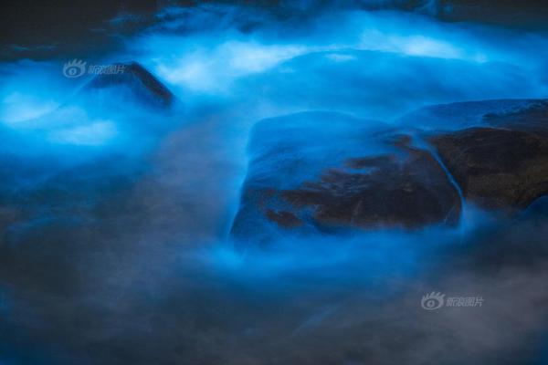 A tech startup released a device that monitors blood pressure at home