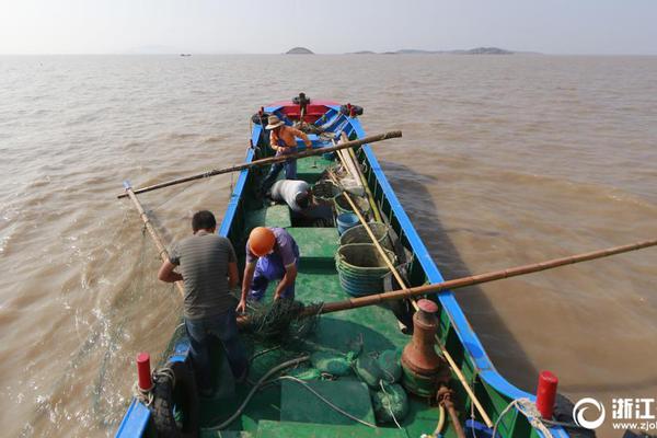 A small plane made an emergency landing on a highway with no injuries reported
