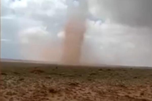 A famous chef opened a new restaurant focusing on regional cuisine