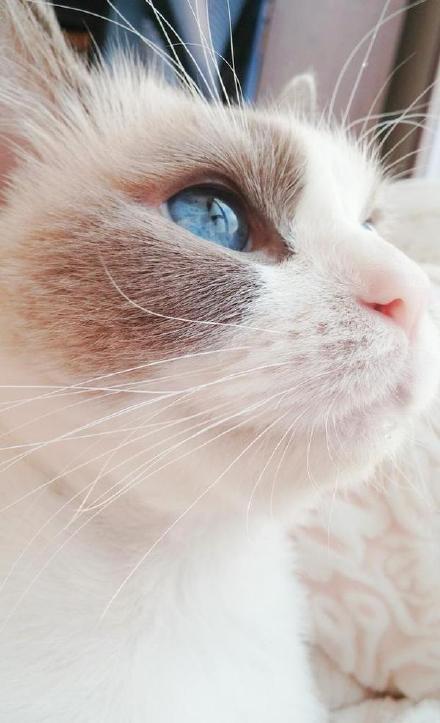 A city repaired 8 miles of sidewalks to improve accessibility for strollers and wheelchairs