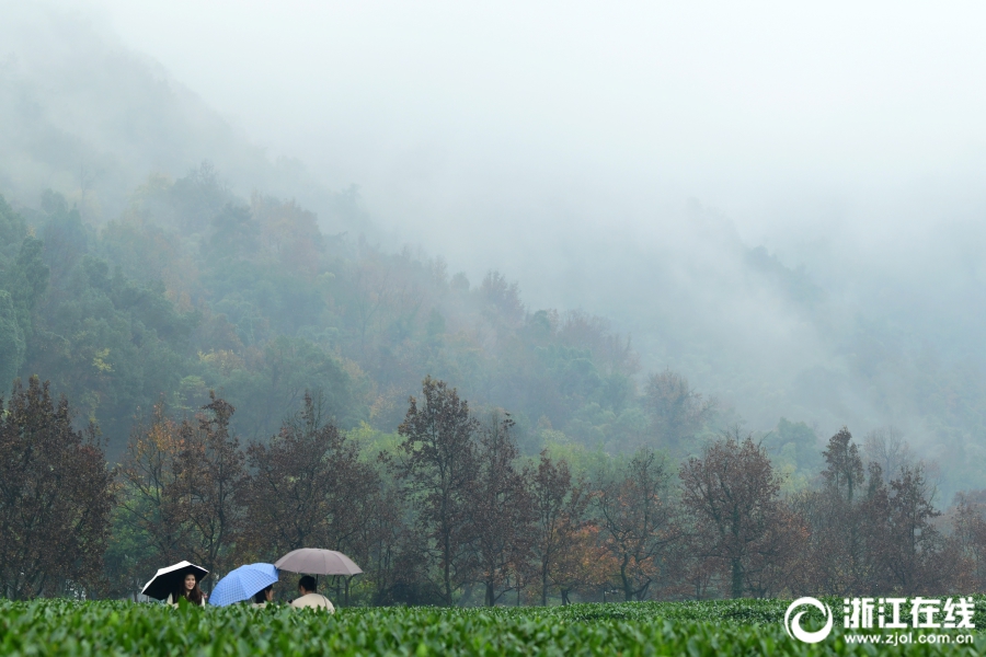 A scientist published a research paper about a new treatment for Alzheimer’s disease