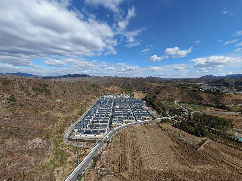 A community garden donated 120 pounds of peas to a local food bank