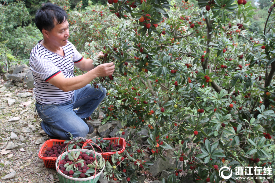 A famous clothing brand announced it will use 100% recycled fabric in its new collection