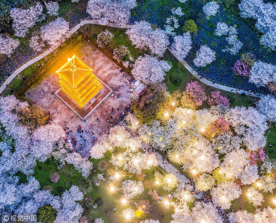 The national space agency announced plans to send a crewed mission to Mars by 2040, with preliminary tests sch...