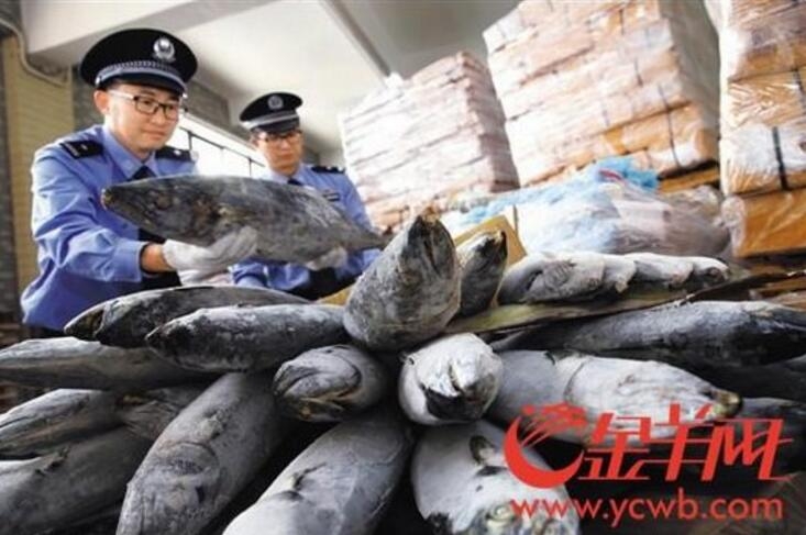 A severe hailstorm damaged crops and vehicles in a farming community