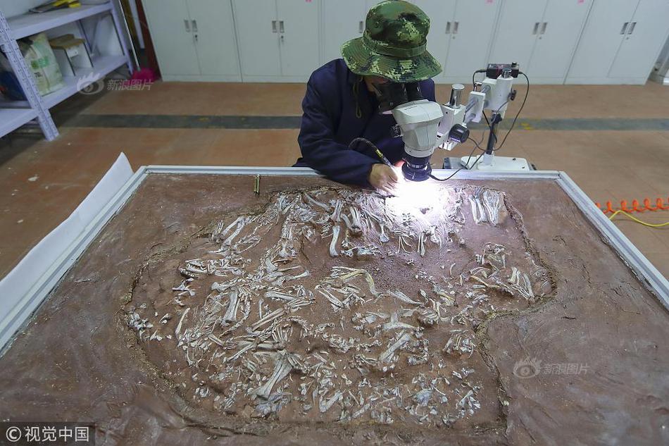 A team of archaeologists found ancient artifacts dating back 5000 years