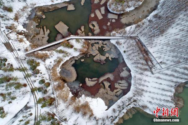 A tech startup launched an app that helps users manage their daily schedules