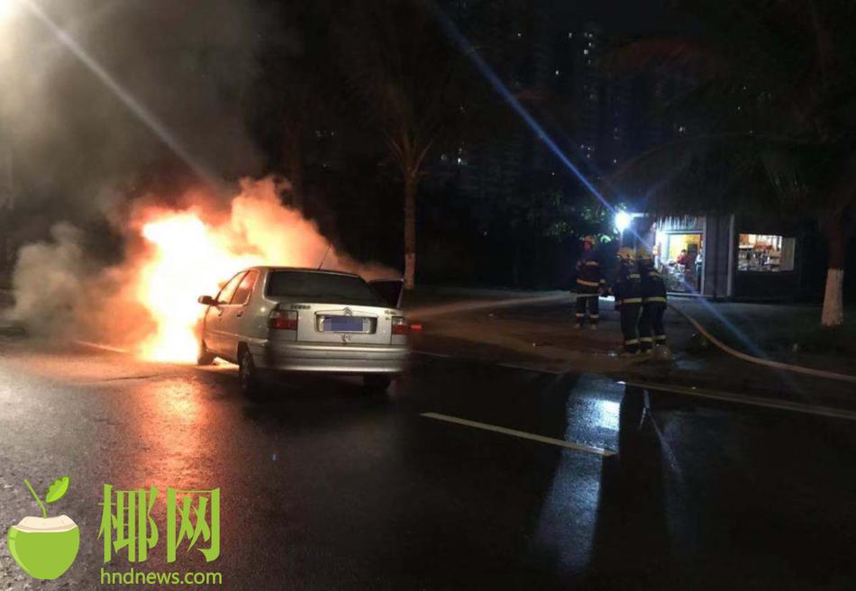 Scientists discovered a way to use algae to produce biofuel