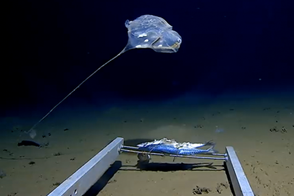 Engineers completed a new water treatment plant that provides clean drinking water to 200