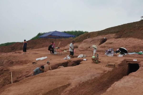 Scientists develop rapid test for detecting foodborne illnesses in 30 minutes