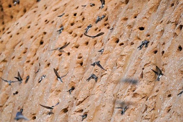 The government announced a new grant program to support artists and cultural organizations affected by the pandemic