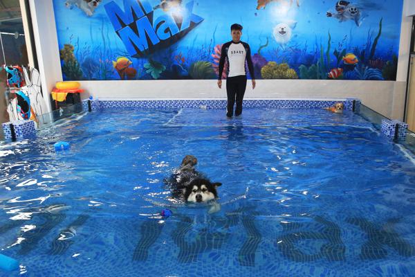 A bookstore hosted a meet-and-greet with a best-selling author drawing a crowd of 600