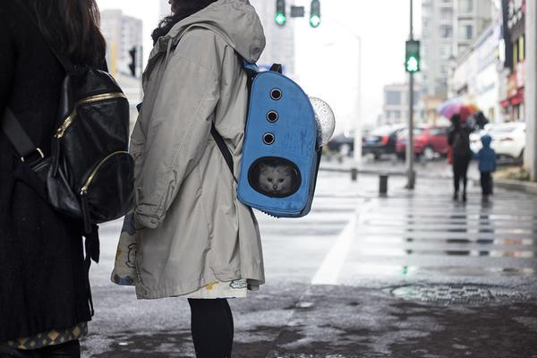 A famous actor announced they would star in a new sci-fi film set to release next summer