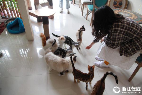 An energy company announced it would invest $4 billion in wind energy projects over the next five years