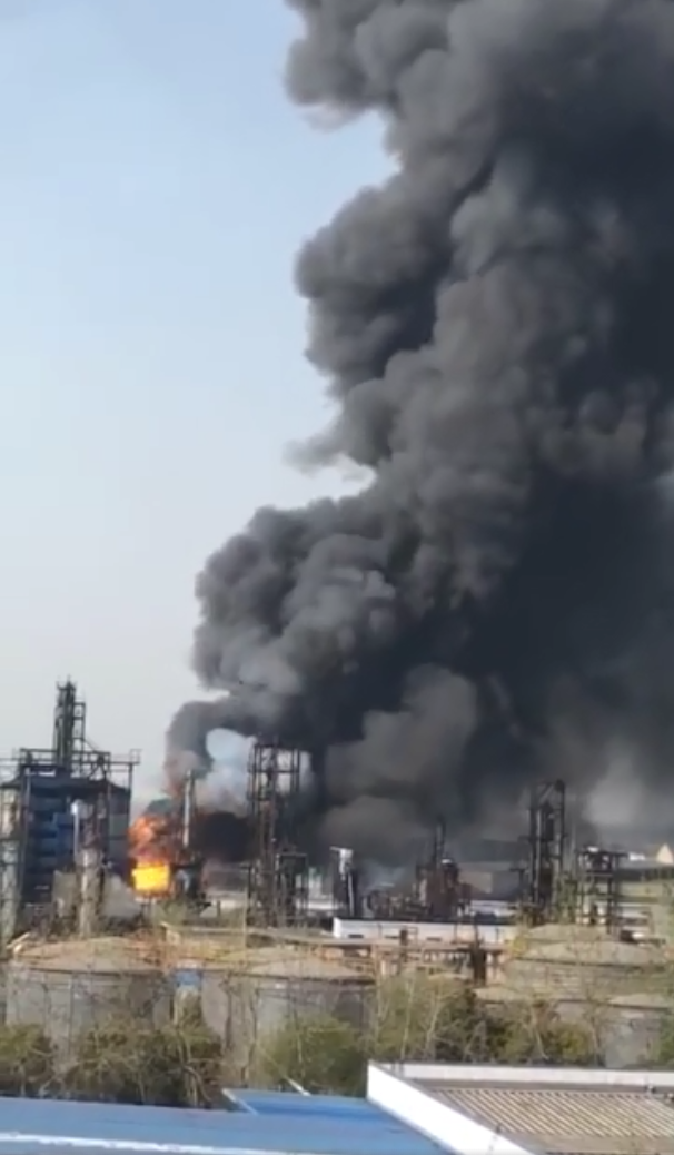 A coffee shop started roasting its own beans on-site, offering customers fresh brews daily