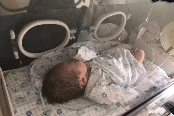 Survey reveals that most travelers prefer road trips over air travel this year