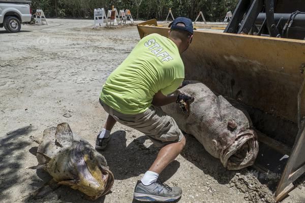 Archaeologists uncovered a collection of ancient artifacts at a dig site including pottery and jewelry