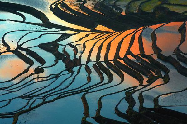 City council votes to ban single-use styrofoam products in restaurants