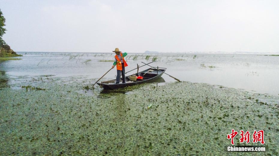 Local volunteers organized a beach cleanup that collected 5 tons of plastic waste