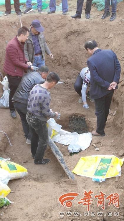 The government launched a campaign to promote eco-tourism in national parks