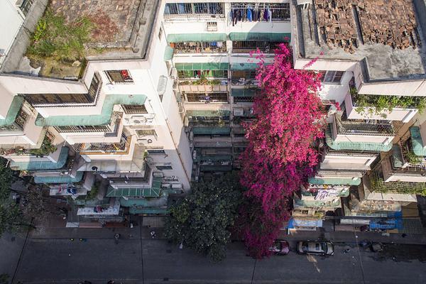 The national library digitized a large number of old books to preserve cultural heritage