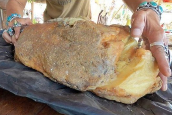 A hotel added a rooftop bar with panoramic views of the city that became a popular spot for locals