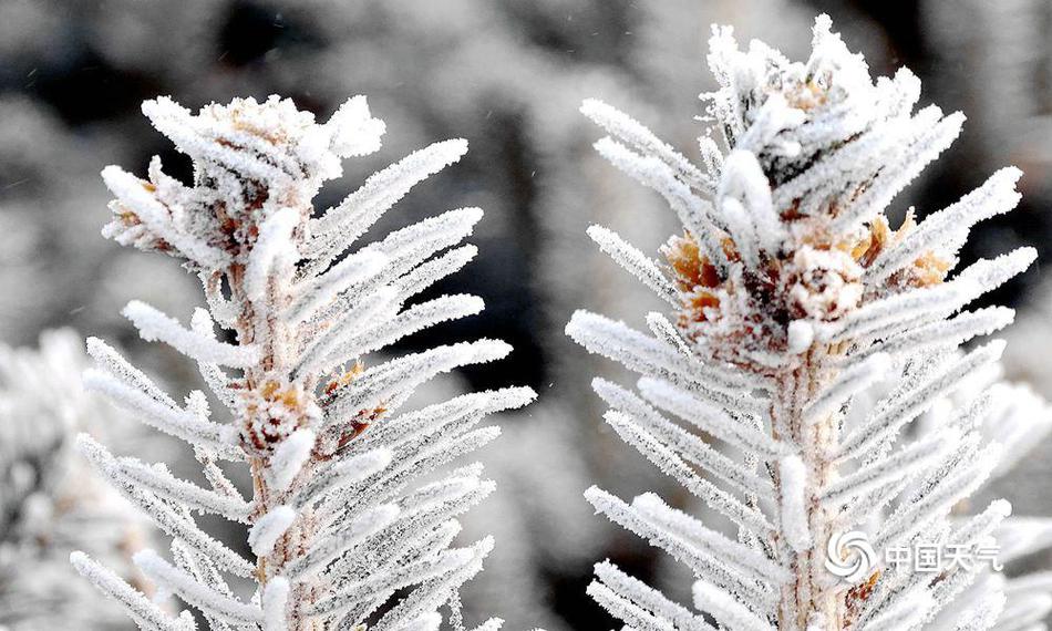 The mayor announced a plan to build 5000 affordable housing units in the city