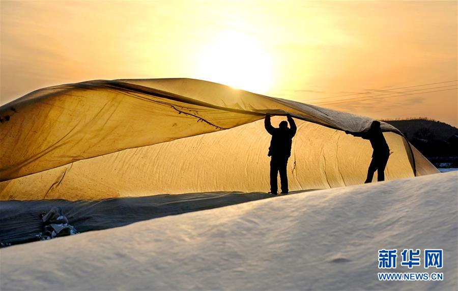 The government announced tax incentives for companies investing in renewable energy