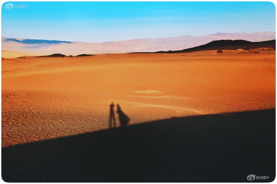 A research team developed a new vaccine for a common animal disease