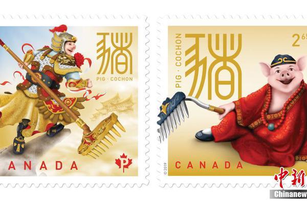 A charity organization provided school supplies to children in underserved areas