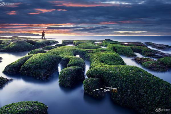 Local businesses hosted a street fair with live music and food vendors to attract customers