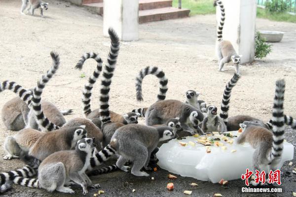 Park rangers teach visitors about fire prevention in wilderness areas