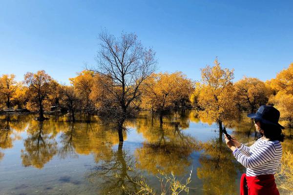 Freelance marketplace launches new feature for clients to hire freelance writers