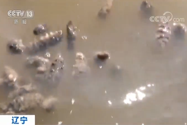 A hotel added a rooftop garden where guests can relax and enjoy views of the city