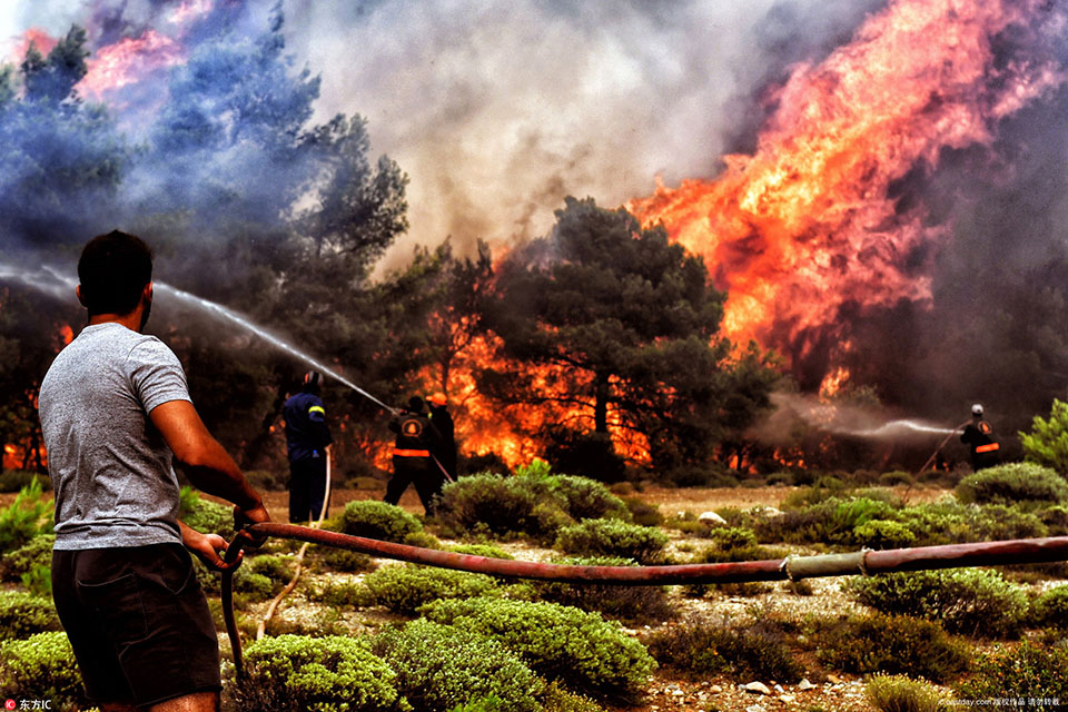 A forest service announced it will plant 5,000 new trees to replace those lost in a recent wildfire