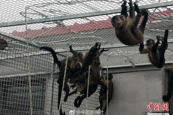 A city installed new recycling bins in 20 public parks to reduce littering
