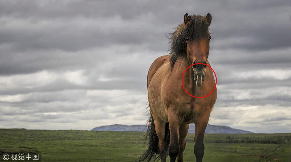 A study showed that students who take breaks during study sessions retain more information