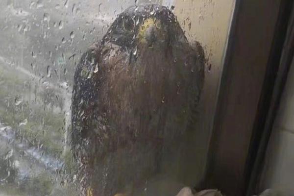 Scientists developed a new type of battery that charges twice as fast as current models