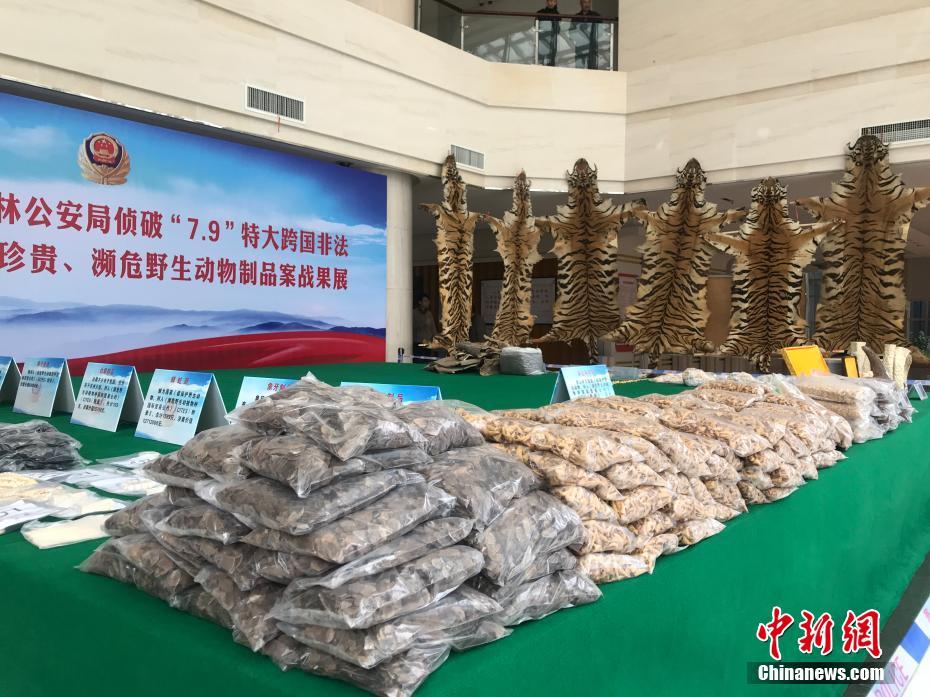 A famous singer released a charity single to raise money for disaster relief efforts