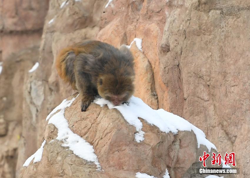 Research indicates that gratitude practices improve overall well-being