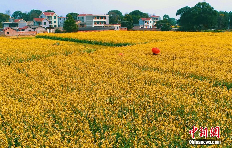 A pet adoption center hosted an event that found homes for 35 cats and dogs in one weekend