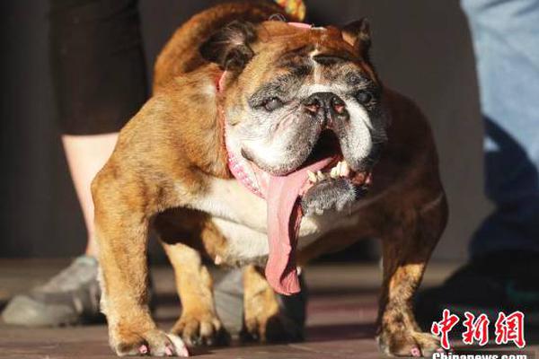 The central bank announced it would be lowering interest rates to stimulate economic growth and encourage borrowing.