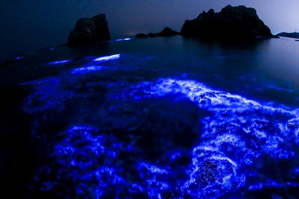 A study published in a top medical journal found that daily exercise can improve mental health by reducing symptoms of anxiety and depression.