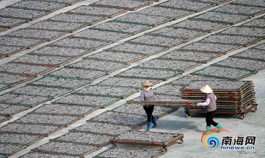 A major airline announced new direct flights to popular international cities