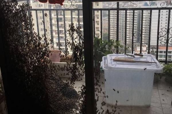 A major airline offered special deals for travelers booking trips in advance