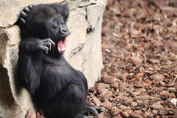 A study showed that walking 30 minutes a day can lower the risk of type 2 diabetes