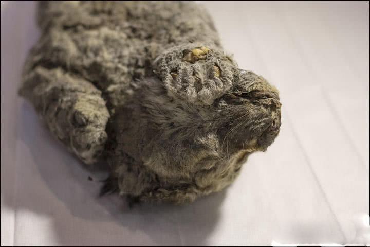 A community center offered free language classes to help immigrants integrate