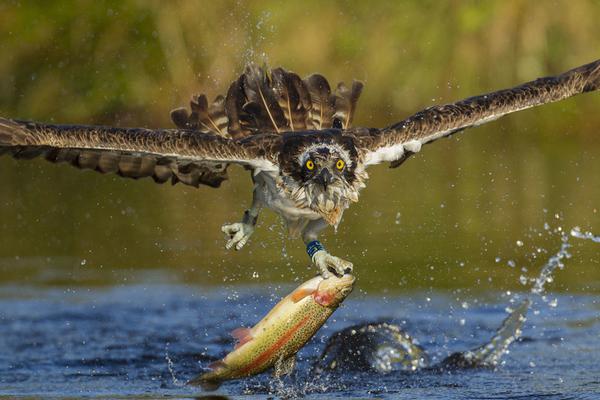 A hospital launched a program to help people quit smoking with free counseling