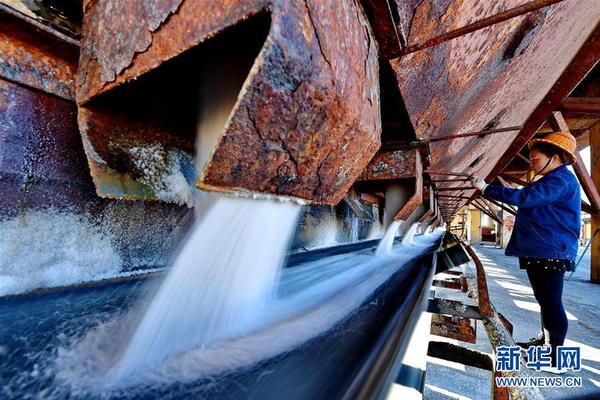 Scientists discovered a new species of insect in a tropical rainforest