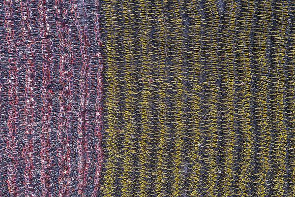 A singer’s new album debuted at number one on global music charts